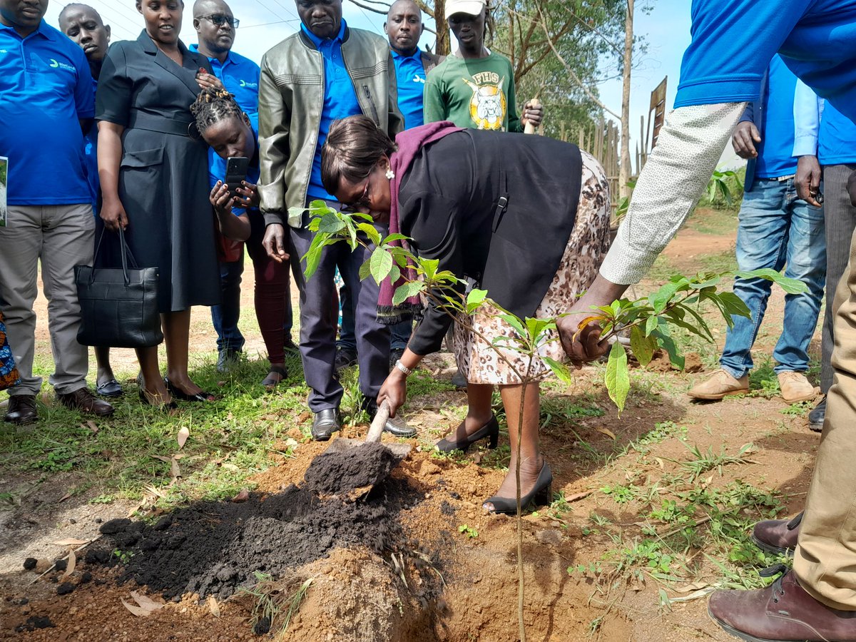 KyoteraDistrict's tweet photo. As part of launching the Upscaling green boarder Sangobay project, Ms @iyangol2010, a commissioner of wetlands mangt in the Ministry of H20  &amp; Env. has led officers at @KyoteraDistrict &amp;  #NFA in planting trees at the district compound. @WetlandsInt https://t.co/R6AaKEPGTl