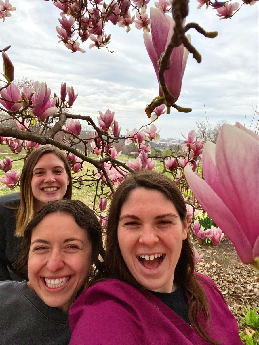 OhioStateOT tweet media