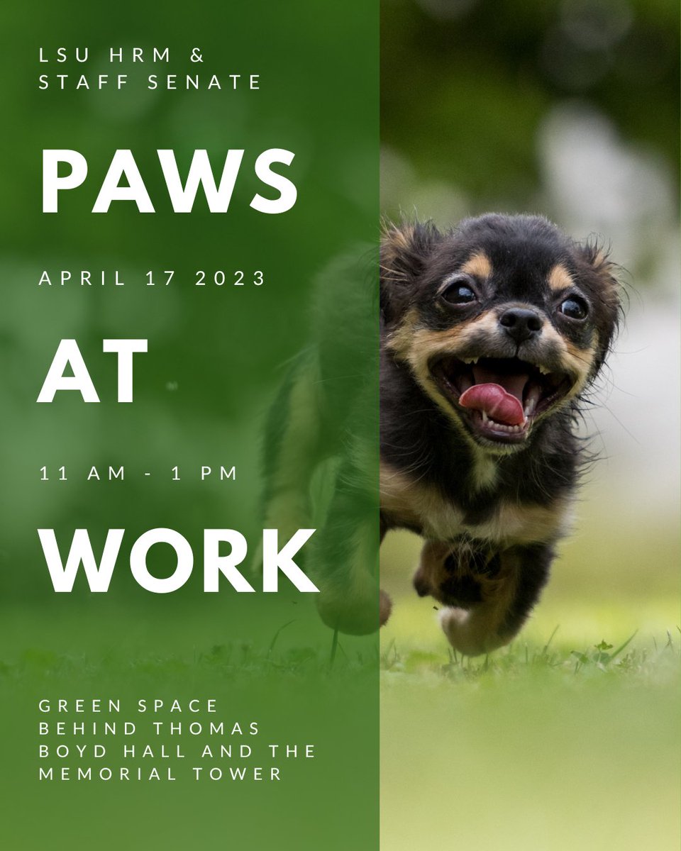 Louisiana State University HRM tweet media