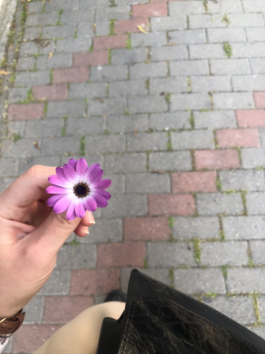 ilknurberkk's tweet photo. Ona baktığımda,içimde yer yüzünün en güzel çiçeğini göreceğim ve bu çiçek bana dünyanın en güzel yerinin bir çocuğun kalbinde olduğunu hatırlatacak 🥹🌸 https://t.co/C0a0rOoKcM