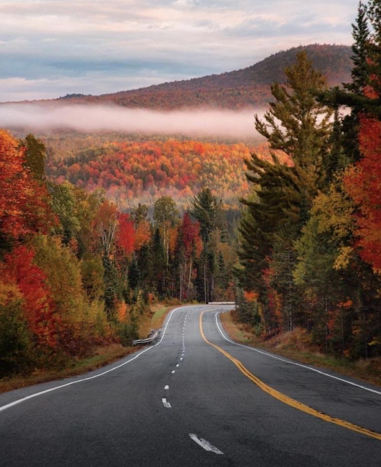 House_of_Flames's tweet photo. 🇺🇸 USA Harley Tour Indian Summer 🇺🇸
Zu den schönsten Motorradrouten der USA gehören zweifellos die Neuenglandstaaten und der Upstate New York. Durch die Farbenpracht des Indian Summers bekommt diese einmalige Tour einen zusätzlichen Reiz. 👍  

Mehr Infos: https://t.co/vHZ1BLUZ8B https://t.co/dx2589K6OF
