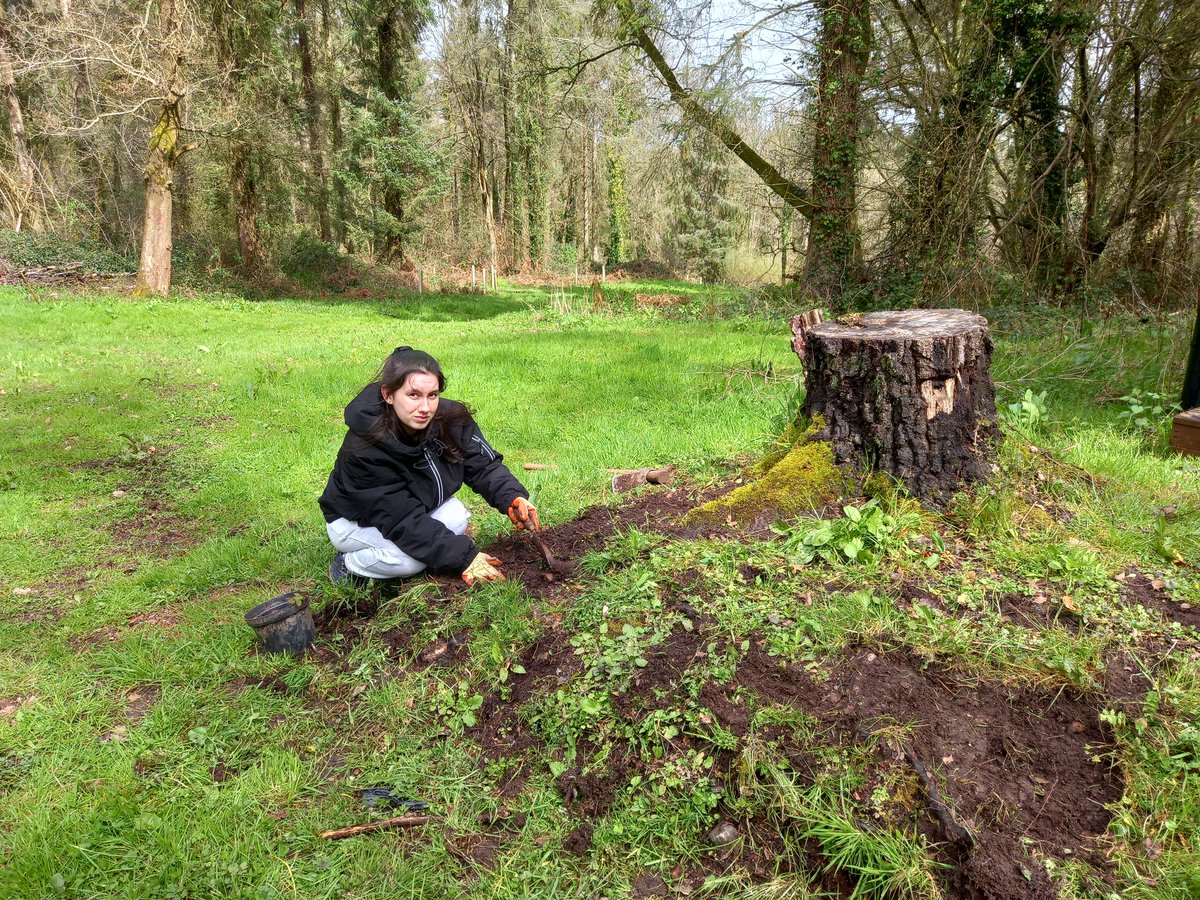 A big thank you to everyone who came and lent a hand planting wildflower plugs at Lords Wood this week. We managed to get hundreds of plugs in despite the rain and wind which is going to greatly increase the wildflowers for our insect pollinators! <a href="/TCVBristol/">TCV Bristol</a> <a href="/WestofEnglandCA/">West of England Mayoral Combined Authority</a>