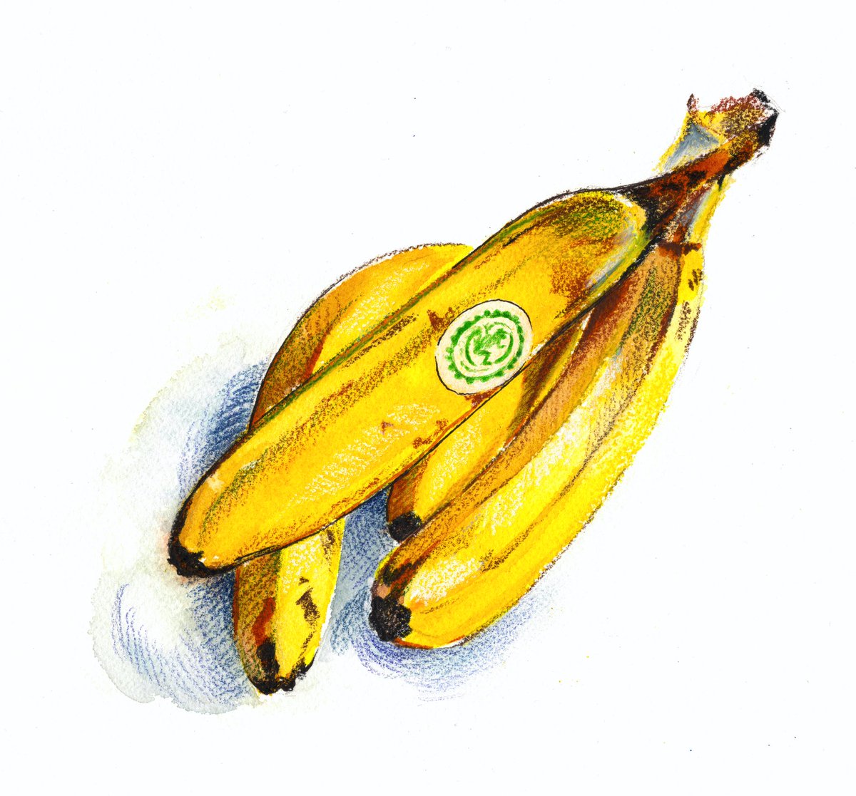 _DBuurma's tweet photo. Go banana’s!
#illustration #illustratie #foodillustration #sketch  #sketchbook #sketching #foodsketch #foodsketching #stilllife #stilleven #stilllifedrawing #contemporarystilllife #mixedmedia #mixedmediaart #mixedmediaartist #illustrationartists #illustrationartist #deijverigebij https://t.co/OqETT5ZWmC