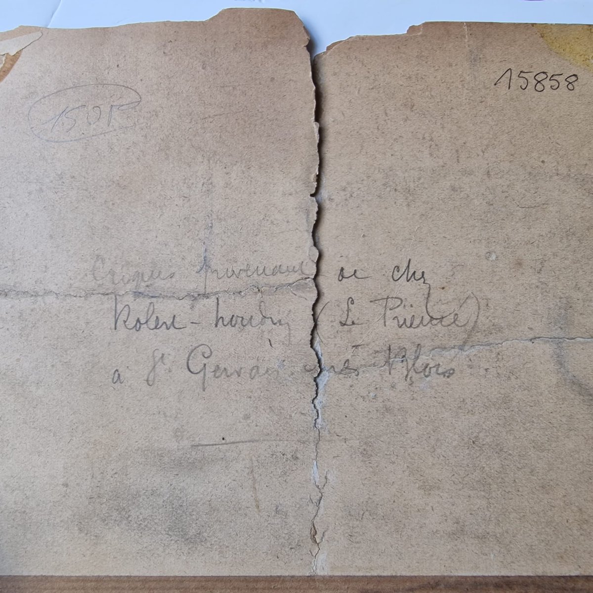 milkymoles's tweet image. Can any #frenchspeakers #translate what this says for ne please?