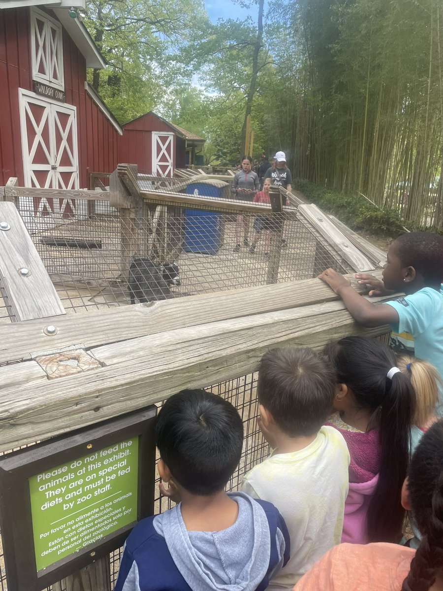 Wandact12's tweet photo. Monaview Lions 🦁 at the Zoo🐊🦜🦩 #MonaviewMoments https://t.co/cY1ffDvb6C