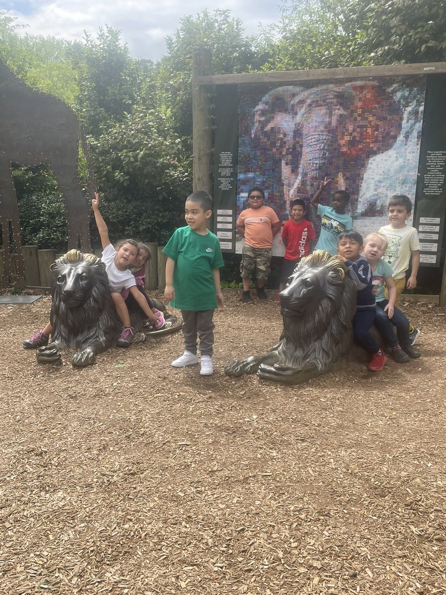 Wandact12's tweet photo. Monaview Lions 🦁 at the Zoo🐊🦜🦩 #MonaviewMoments https://t.co/cY1ffDvb6C