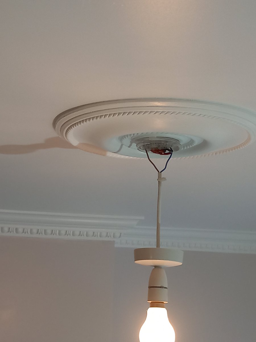JA_plastering's tweet photo. Bit of egg and dart cornice fixed up with the ceiling rose I cast at home the other week.  #plastering #plasterer https://t.co/O3r5rz85Pj