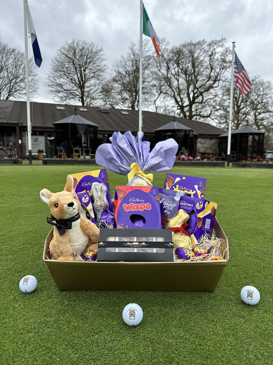 Waterford Castle Resort tweet media