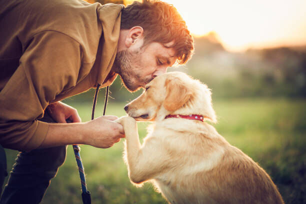 We love #Dogs! And we know you do, too! In honor of #DogAppreciationMonth, show us your #canine friends and let us know why you appreciate them!