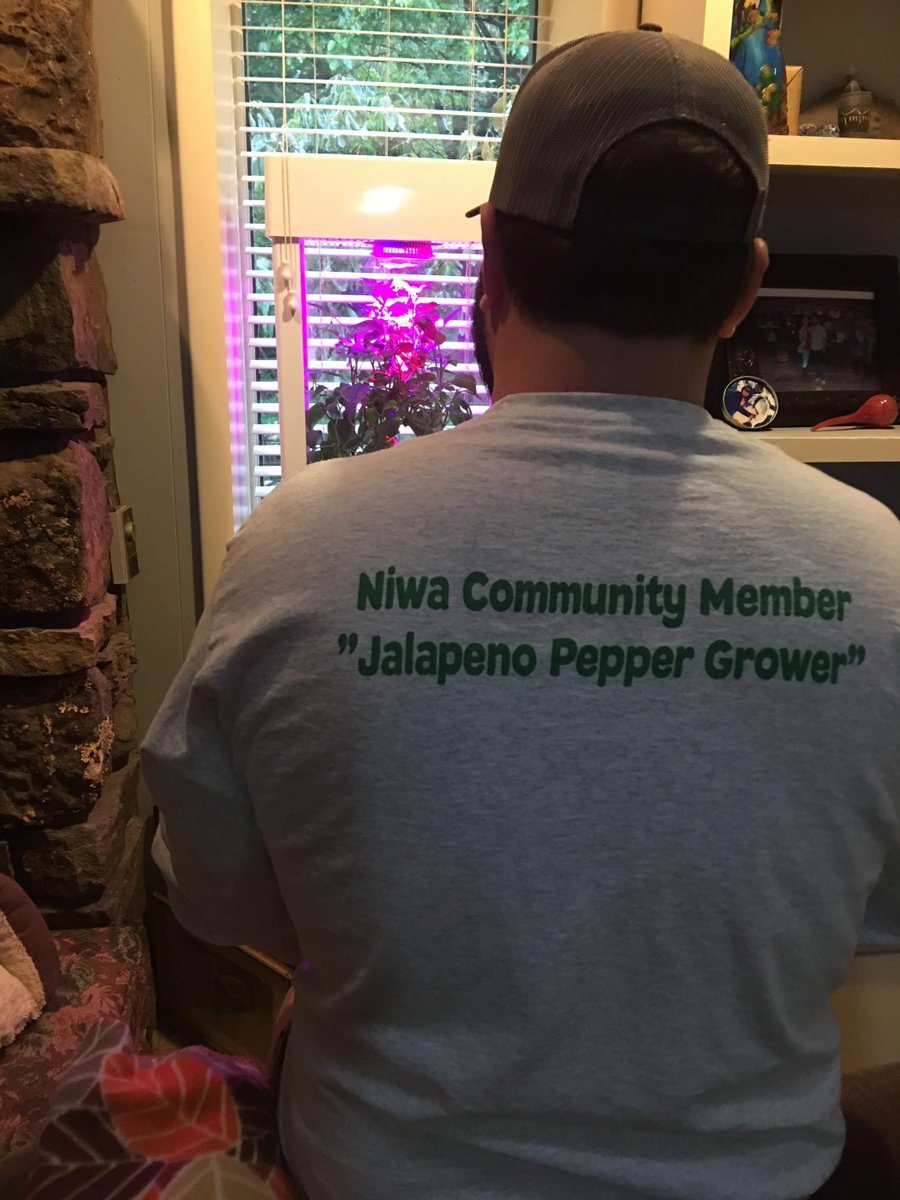 Niwa USA tweet media