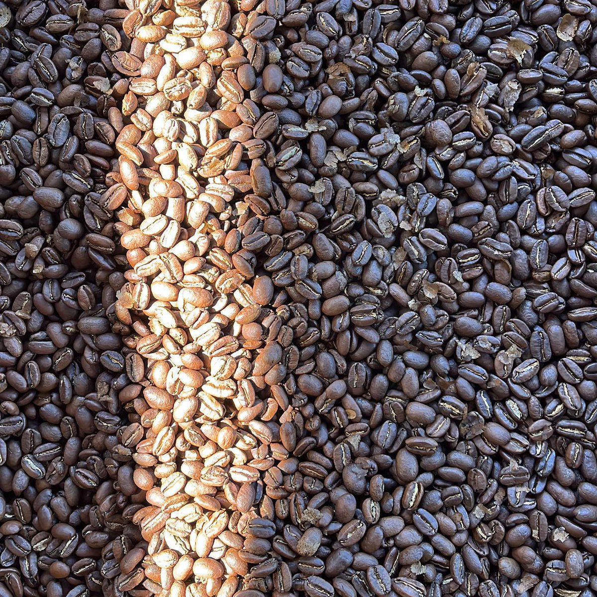 Runyon Coffee tweet media