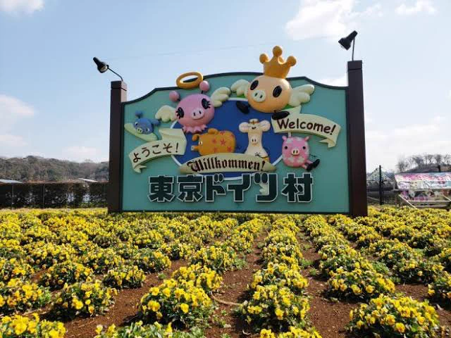 @ark_to69 このパンを千葉県にある東京ドイツ村で食べればカオス度が増して最高w 
