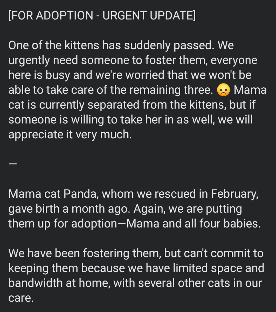 ninatorralba's tweet photo. ❗️ URGENT ❗️
TW rainbow bridge
Need someone in Metro Manila or nearby areas to foster or adopt these kittens/mama cat. Can give more details in DM. Please help. #AdoptionPH https://t.co/udPR9QzWqe