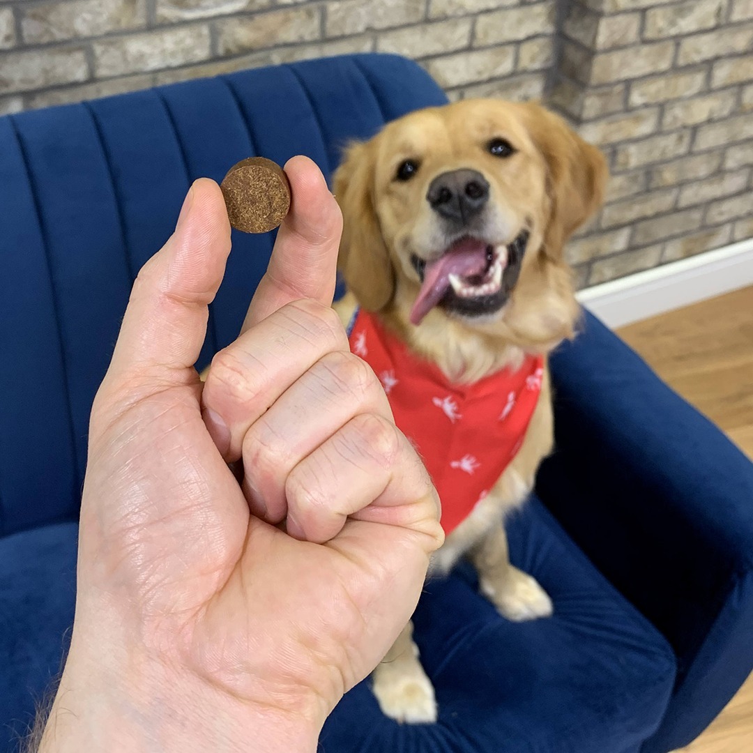 PetLab Co tweet media