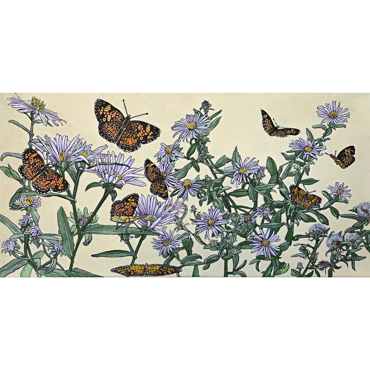 Cottage_Curator's tweet photo. Coates, influenced by #MariaSibyllaMerian, merges her love of science &amp; art...
[📸: Northern Crescents with Asters by #FrancesCoates] https://t.co/nZxpwRdSG0 See her work in #InBloom - https://t.co/Ny9hZ3PlxU
#botanicalpainting #virginiaartist  #SperryvilleVA #dcmetroarea https://t.co/zLgUG93Nge