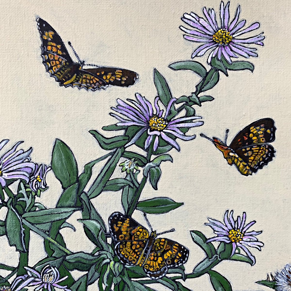 Cottage_Curator's tweet photo. Coates, influenced by #MariaSibyllaMerian, merges her love of science &amp; art...
[📸: Northern Crescents with Asters by #FrancesCoates] https://t.co/nZxpwRdSG0 See her work in #InBloom - https://t.co/Ny9hZ3PlxU
#botanicalpainting #virginiaartist  #SperryvilleVA #dcmetroarea https://t.co/zLgUG93Nge