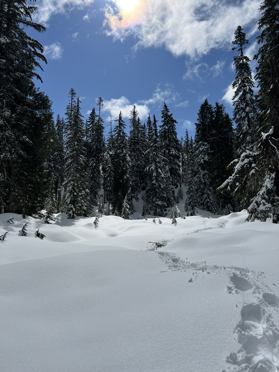 Beautiful blues <a href="/Mt_Seymour/">Mt Seymour</a> #outdooreducation #spring