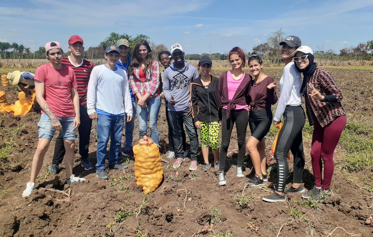 FEU_UCLV's tweet photo. Durante esta semana participamos en la recogida de papa 🥔 en el valle del Yabú. 🚜 Los estudiantes de la #UCLVnuestra también aportamos a la producción. ✊

#SomosFEU https://t.co/Gk4oZQUs0H