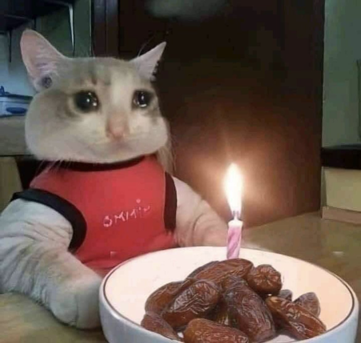 iju111's tweet photo. Happy birthday to me 🥳 https://t.co/IN4Q9tWpIg