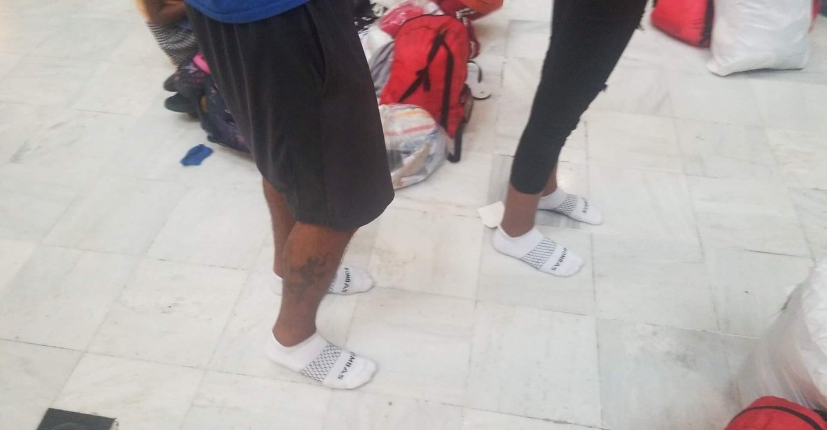 PeaceHDC tweet media