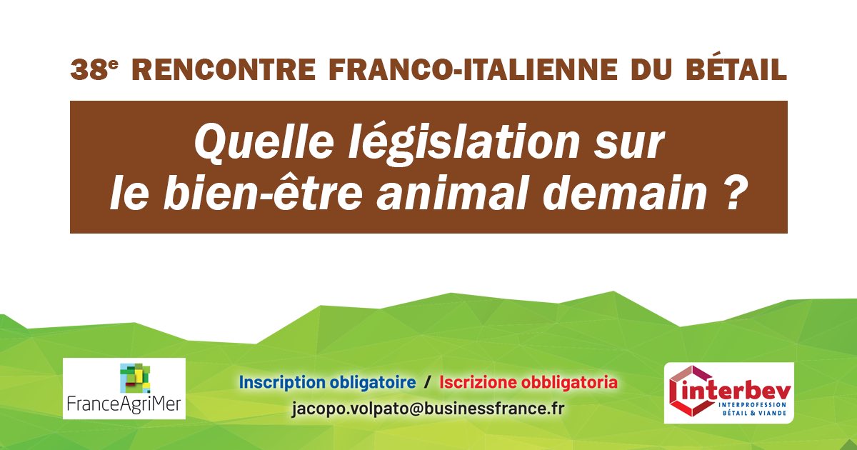Interbev_fr's tweet photo. Interbev organise à la 38e édition des Rencontres franco-italienne du bétail à Vérone, du 13 au 14 avril 2023.
Cette année, le colloque aura pour thème "Quelle législation sur le bien-être animal demain ?"
#Elevage #Export #BEA https://t.co/LLYY4wd3lH