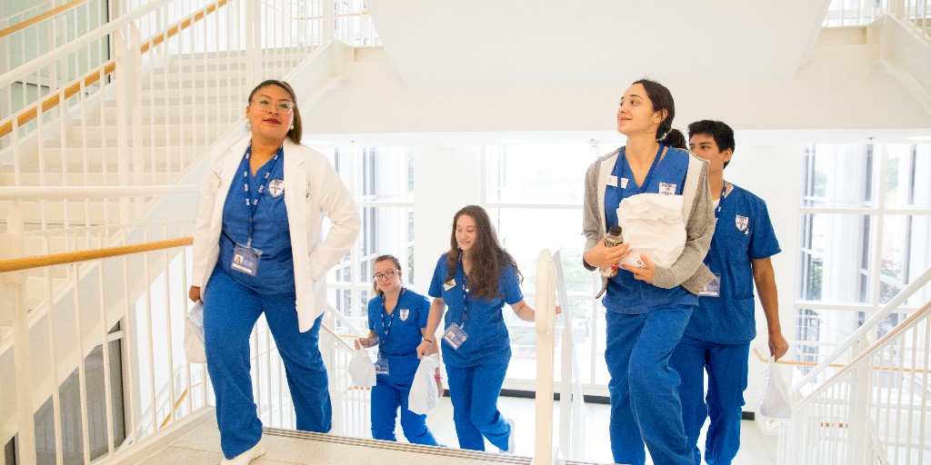 hallnursing's tweet photo. The Introduction to Critical Care Ultrasonography course at Seton Hall’s College of Nursing consists of an instructional presentation of the theory of ultrasonography and a hands-on experience in performing ultrasound techniques on standardized patients. https://t.co/tWWnvdetCn https://t.co/V1Sof8nasI
