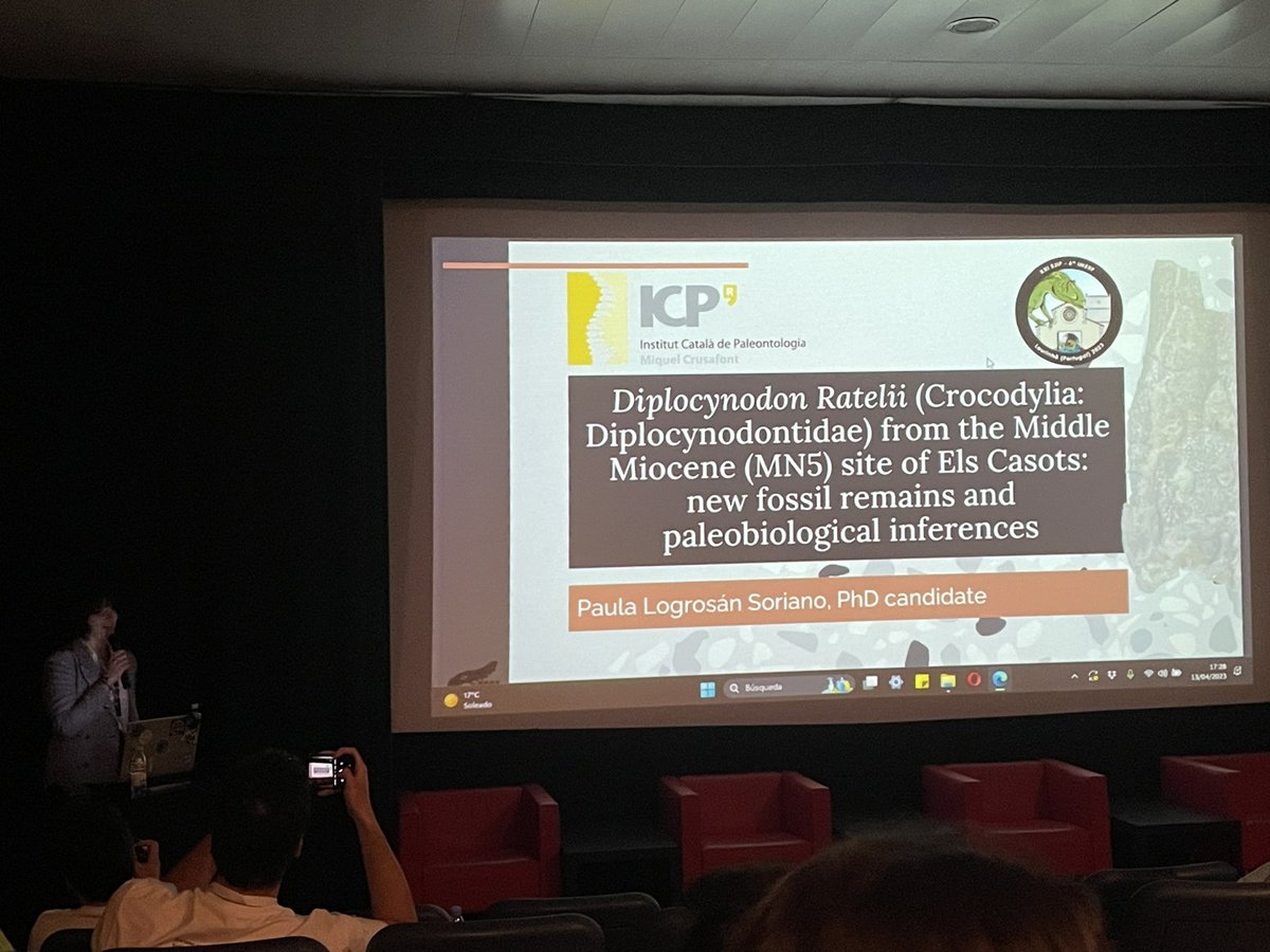 Final presentation of the day, by Paula Soreano: a Diplocynodon from the middle Miocene of Els Casots, new fossil remains and paleobiological inferences. #EJIPIMERP2023