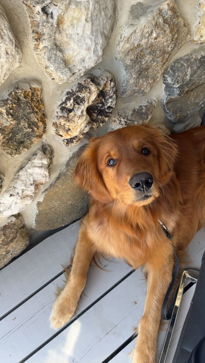 allisonxmoore's tweet photo. premier lunch de patio avec mon ptit roux🫶🏻 https://t.co/1woKi5ph6Y