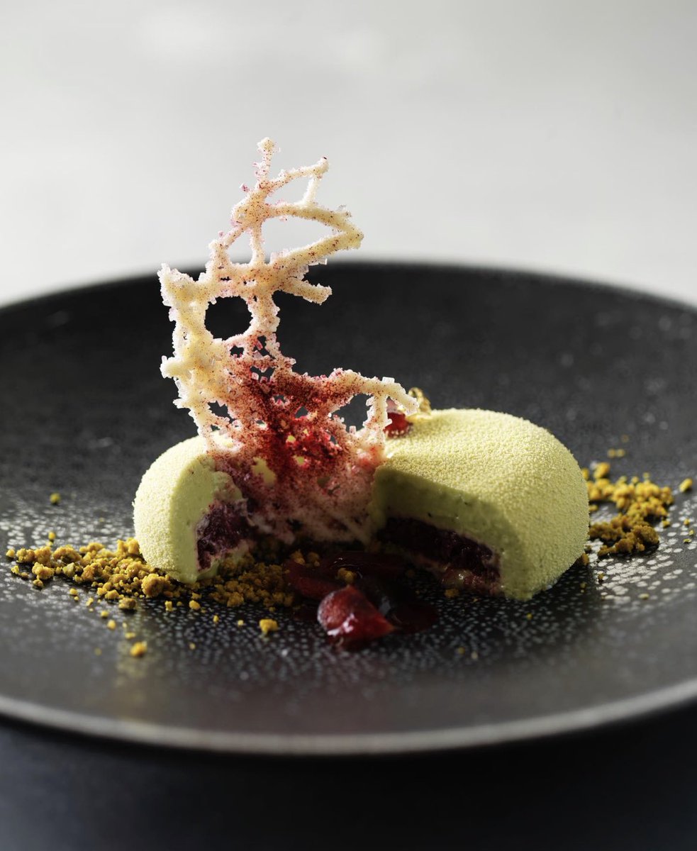 paula leduc tweet media