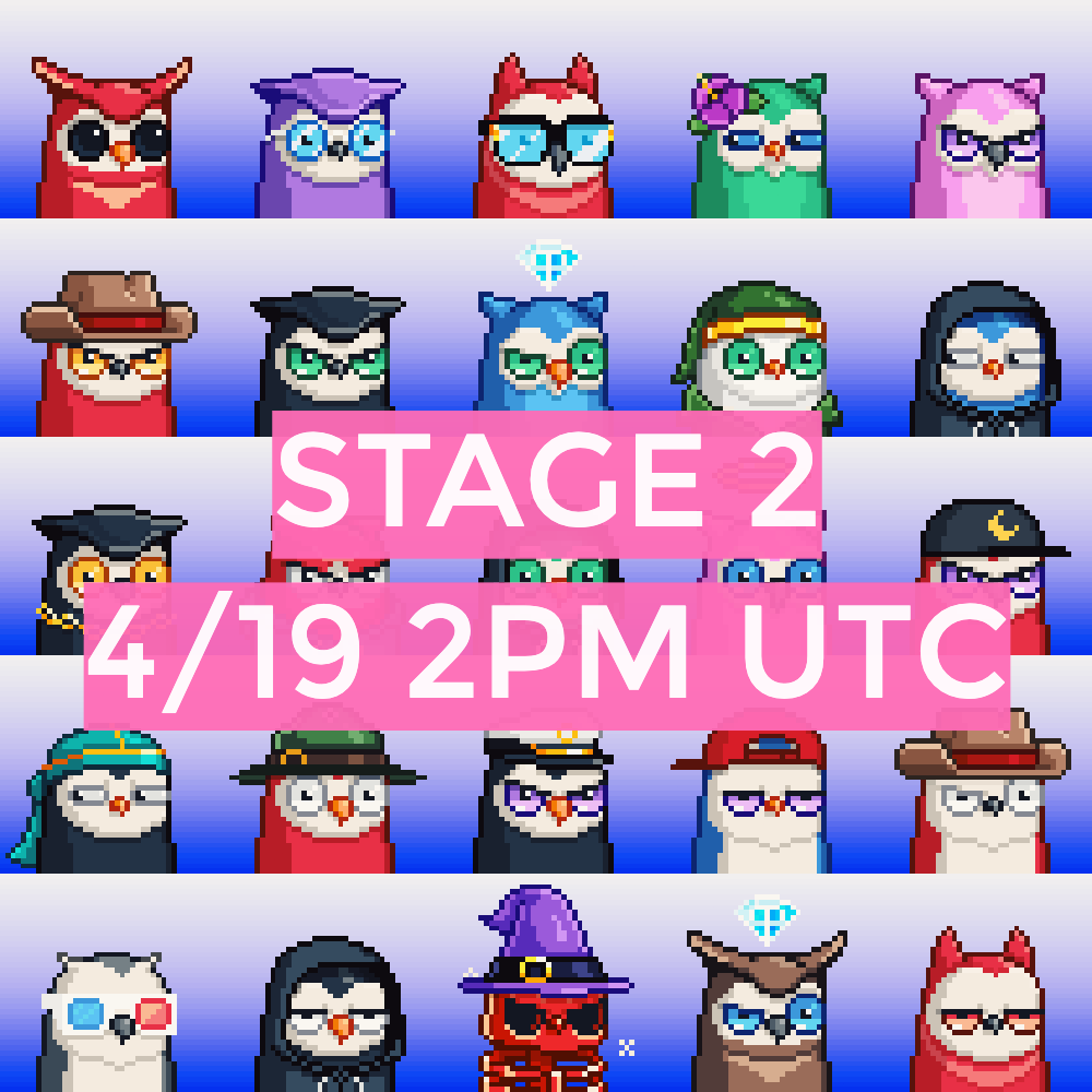 zkBirds tweet media