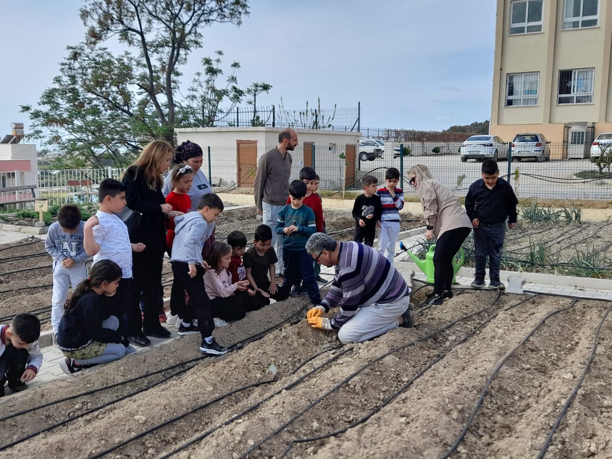 fulyalp's tweet photo. Bugün tarım üretim ve fen okulu Kapizli Rasim Bozbey ilkokulu 1.sinif öğrencileri ile ata tohumundan bamya ve fasulye dikimi yaptılar. Patates baskısı atölye etkinliği ve beslenme saati yapan çocuklarım üreten sağlıklı bireyler olmanın bilinci ile okulumuzdan ayrıldılar 🥰🥰 https://t.co/LM5c5Hh2eY