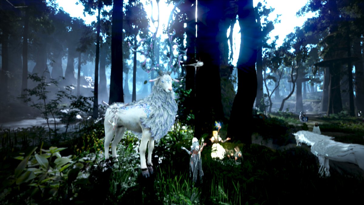 SynepicxBDO's tweet photo. #MMO #MMORPG #OnlineGame #BDO #BlackDesertOnline #BlackDesert #BDOScreenshot #BDOdk #BDOdarkknight #黒い砂漠PC #黒い砂漠SS https://t.co/u3v6tiejWz
