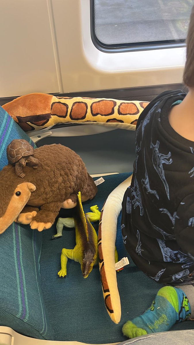 HannahLM90's tweet photo. @CrossCountryUK Has anyone handed in these toys at one of the stations between Peterborough and Birmingham New Street? My sister left them when she got off the 1300 Cambridge train at Peterborough. The nephew just got them on his first trip to the @NHM_London 🤞 https://t.co/l9mrX4k4nI
