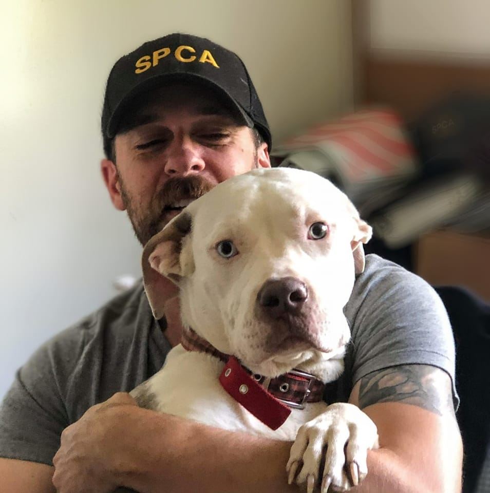 SPCAofTC's tweet photo. THANK YOU for all our Animal Control Officers do! Whether it's picking up a stray, responding to a cruelty call, or helping pull ducks from a storm drain, our officers have seen it all! Happy #AnimalControlAppreciationWeek to Officers Hoffer and Consolo! #twithaca https://t.co/CQCFM03fFS