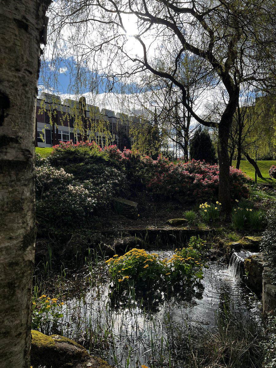 Relaxing at the lovely botanical garden of the University of Strathclyde #strathlife 🧘‍♀️