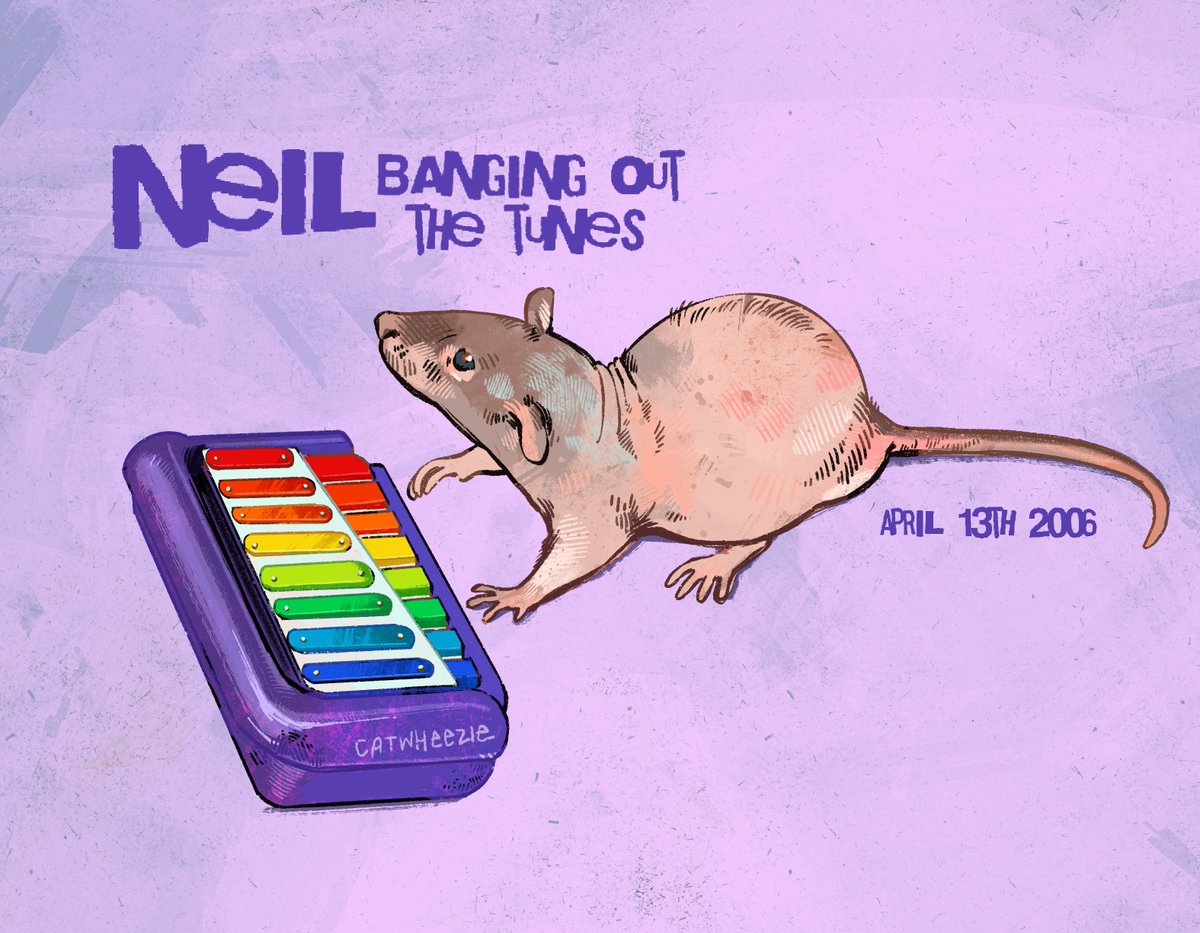 catwheezie's tweet photo. Today is a national holiday. Thank you Neil, for banging out the tunes for 17 years. https://t.co/ZSioaIf3zo
