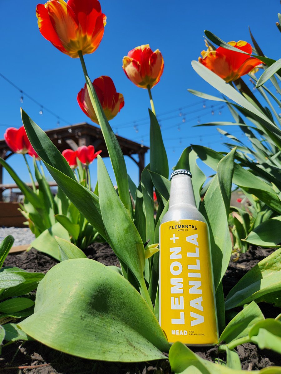 It's a beautiful spring day! Come enjoy our outdoor seating and a bottle of mead. We're open until 5pm!