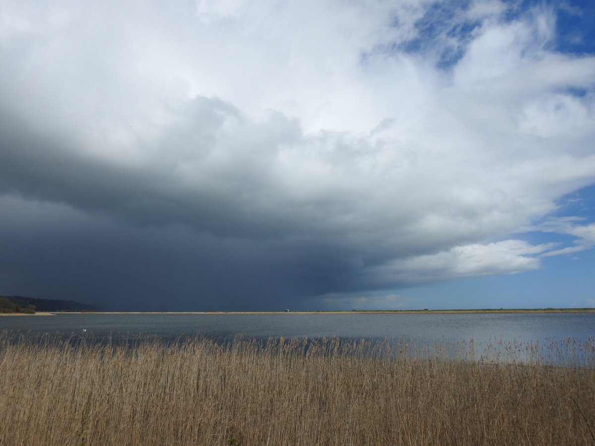 CharletonBirder's tweet photo. Around Slapton Ley today 6 Ringed Plovers, 250 Swallows, 200 Sand Martins ( no House Martins ) and 2 Wheatears. Offshore 2 Great Northern Divers and 3 Sandwich Terns. Photos are Ringed Plover, Rock Pipit and storm clouds. https://t.co/Hs07tLmsTE