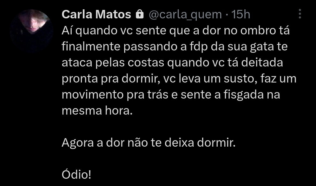 belzeluna's tweet photo. Versão REAL:

Estava eu, confortavelmente aninhada do lado da humana quando ela, SEM AVISAR NEM PEDIR PERMISSÃO, resolveu virar de lado pra dormir.
Eu, dentro do meu direito garantido pela sociedade protetora dos animais, tentei puxar ela pra posição correta e fui AGREDIDA! https://t.co/u4U32e5U84