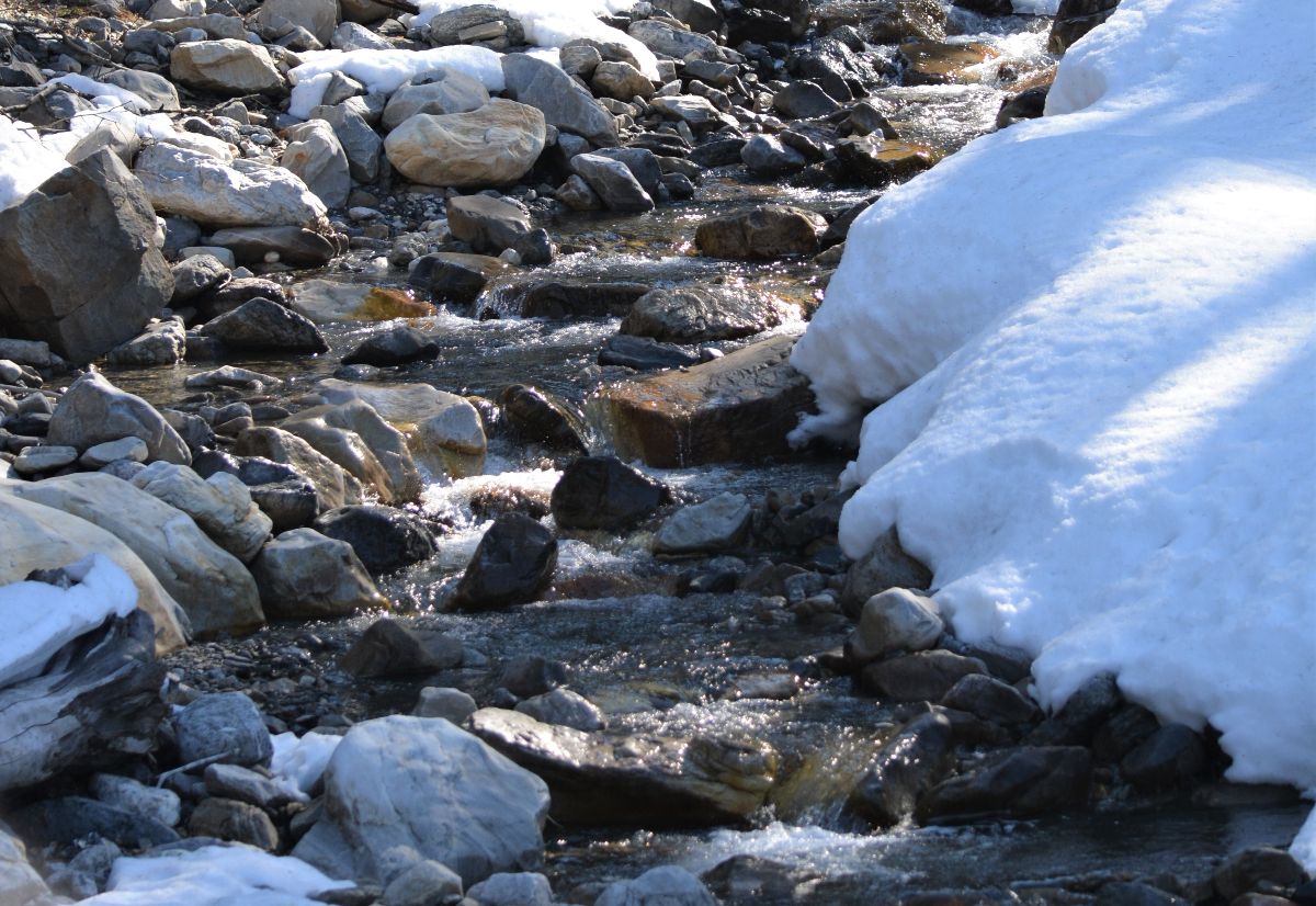 CWRA_Flows's tweet photo. A new webinar!? You betcha! Join us on April 26th for an @NRCan webinar on "Fragility to Flexibility: the imperative for adaptive flood management approaches in Canada" with Tamsin Lyle. Learn more at: https://t.co/FkT5c9Ud79 https://t.co/JysBfC82iG