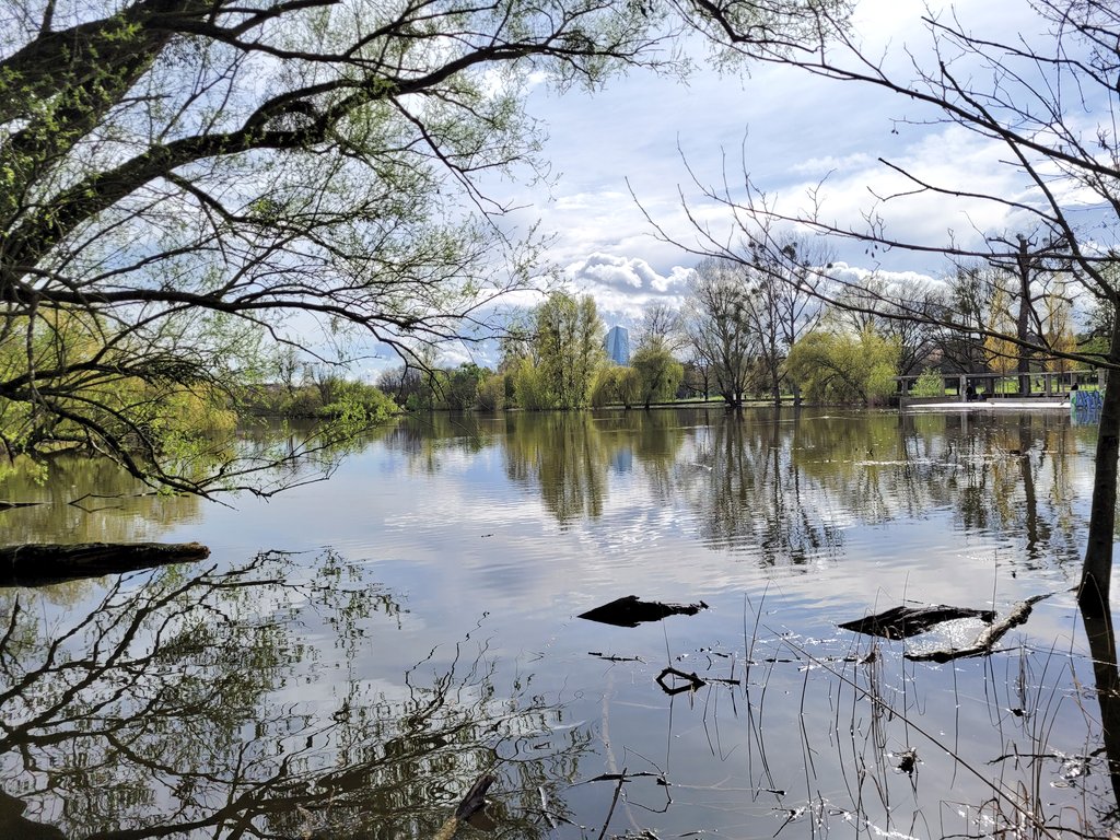 Dennyo218's tweet photo. Idylle in der großen Stadt #Ostpark #Frankfurt https://t.co/RUe0UihGQF