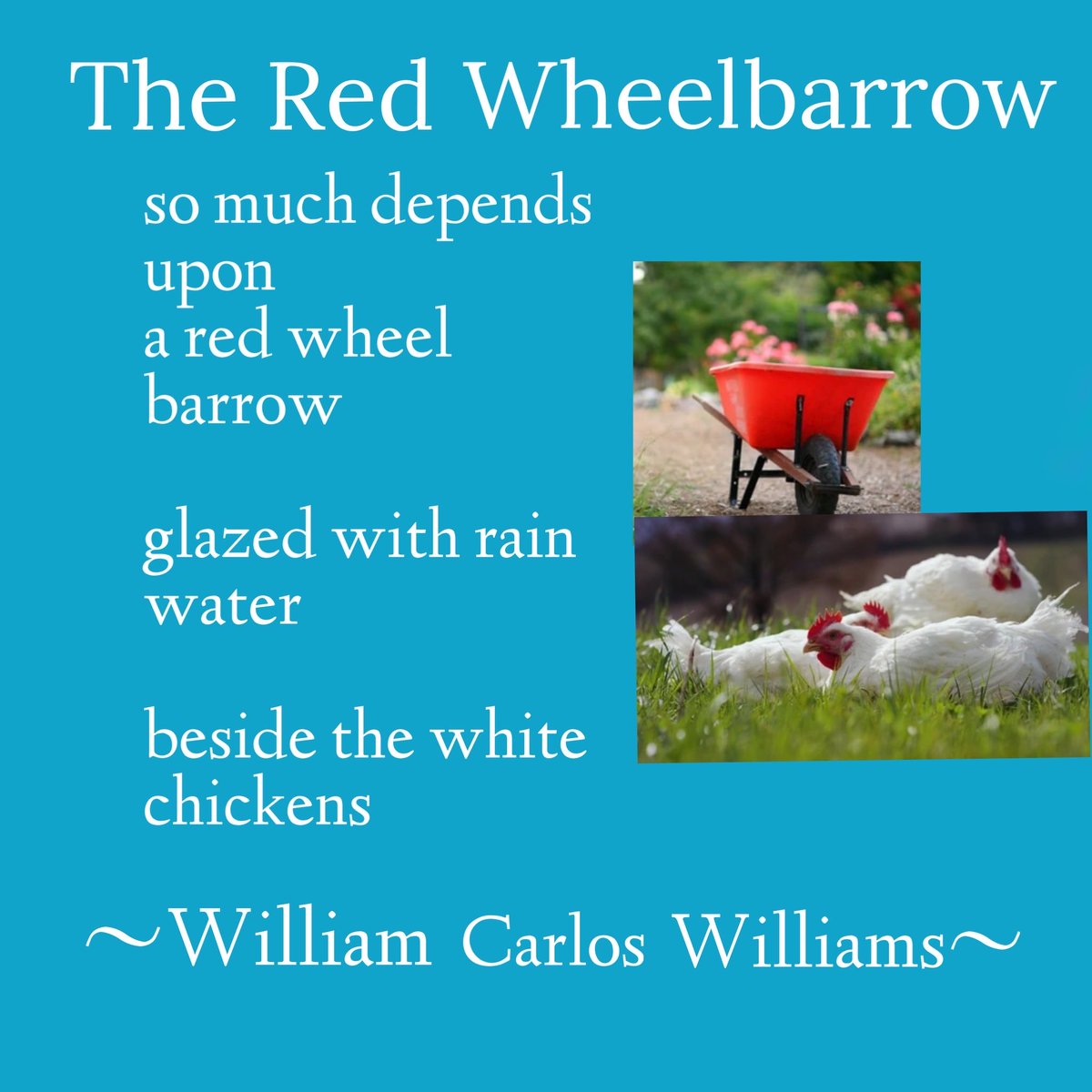 CatherineAHamil's tweet photo. Happy National Poetry Month
#Writerscommunity #poetry https://t.co/7OJFNXyC5v