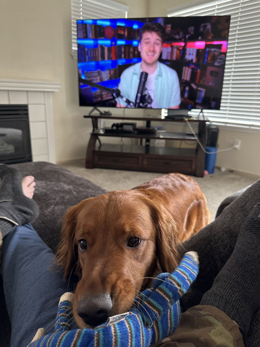 tabsforyou's tweet photo. We love @DanielBGreene. 
Daniel loves dogs.
It works. https://t.co/FslFic6qzU