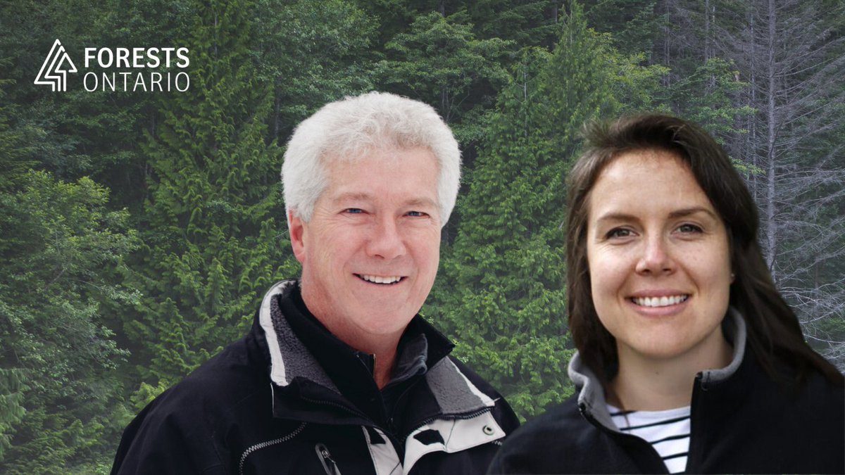 Forests Canada tweet media