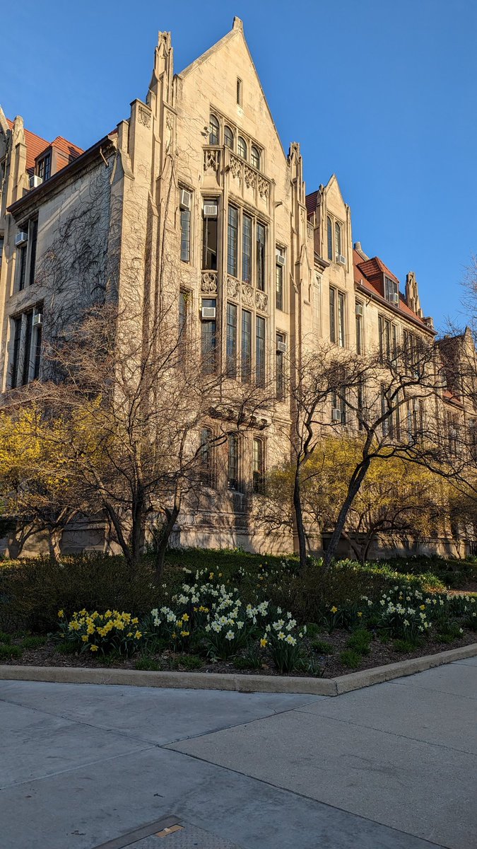 matwimberly's tweet photo. The grounds crew at UChicago is pretty great. https://t.co/Zb9VwUCrkA