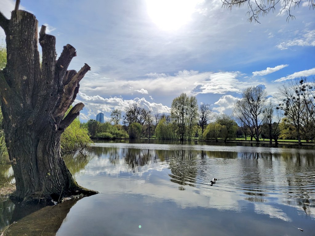 Dennyo218's tweet photo. ...so ruhig im #Ostpark wenn alle auf der #Dippemess sind. #Frankfurt https://t.co/qGIa3UCPsE