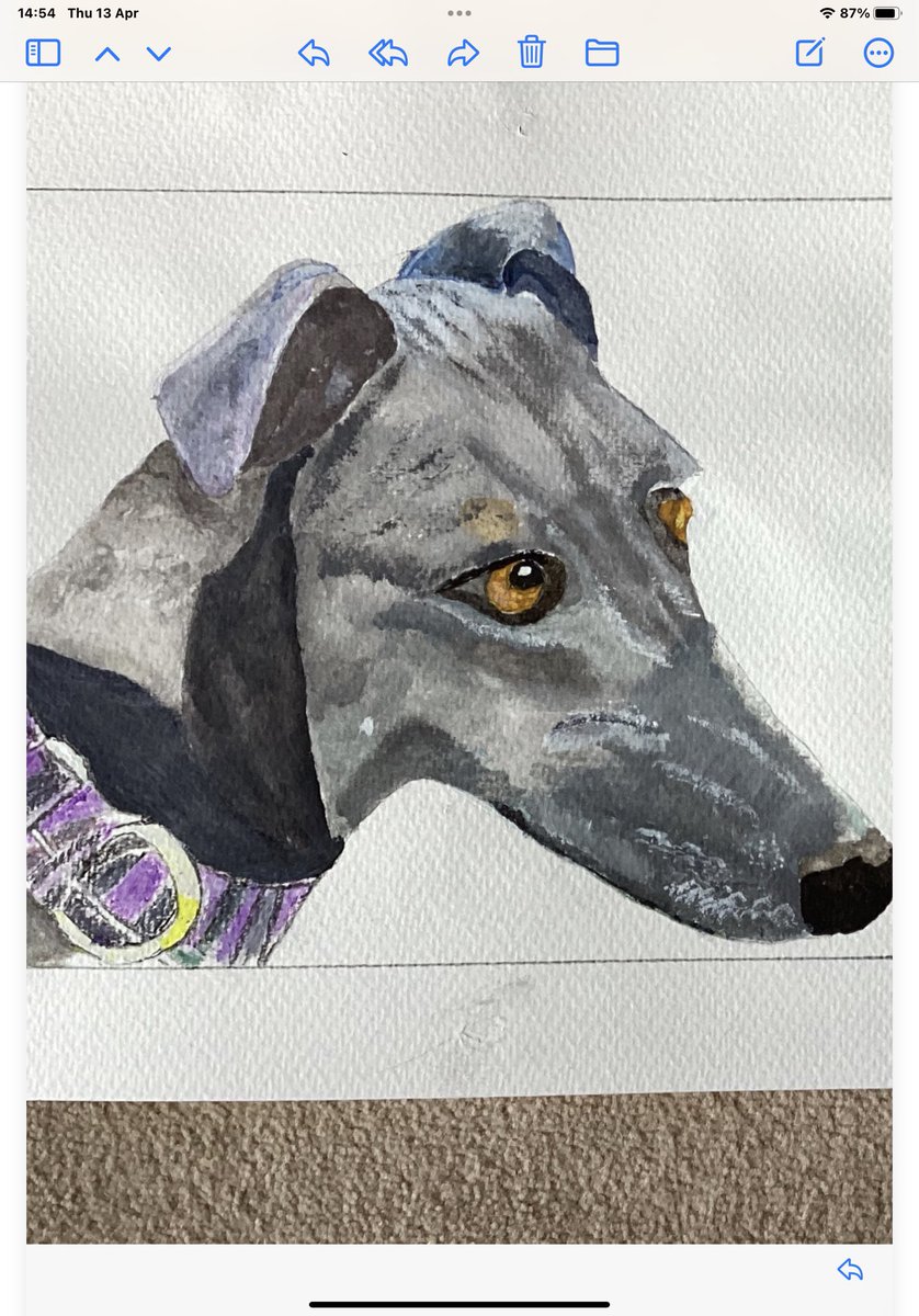 Vera Closs (@vjcloss) on Twitter photo 