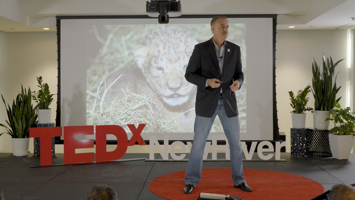 tedxnewriver's tweet photo. .@RonMagill, photographer and Communications Director at @zoomiami, speaking at #TEDxNewRiver.
#TEDx #TEDxTalk #TedEvents #MiamiZoo #Miami https://t.co/XK3u4NYntw