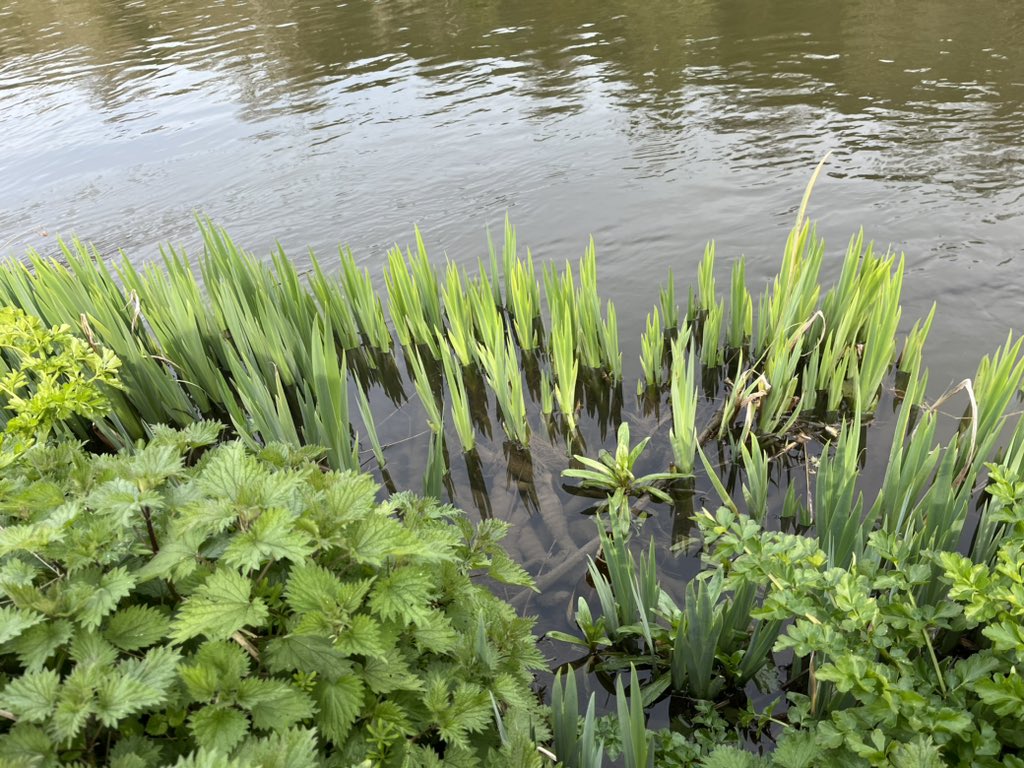 Clogtweets's tweet photo. *** Up Coming Walk ***

Essex Uplands Walk.....Epping to Waltham Cross.    Sunday 16th April

Surprisingly quiet and attractive countryside between Epping Forest and the River Lea. An undulating 10miles to the Abbey but expect stretches of mud en route! https://t.co/GkUnXCszmo