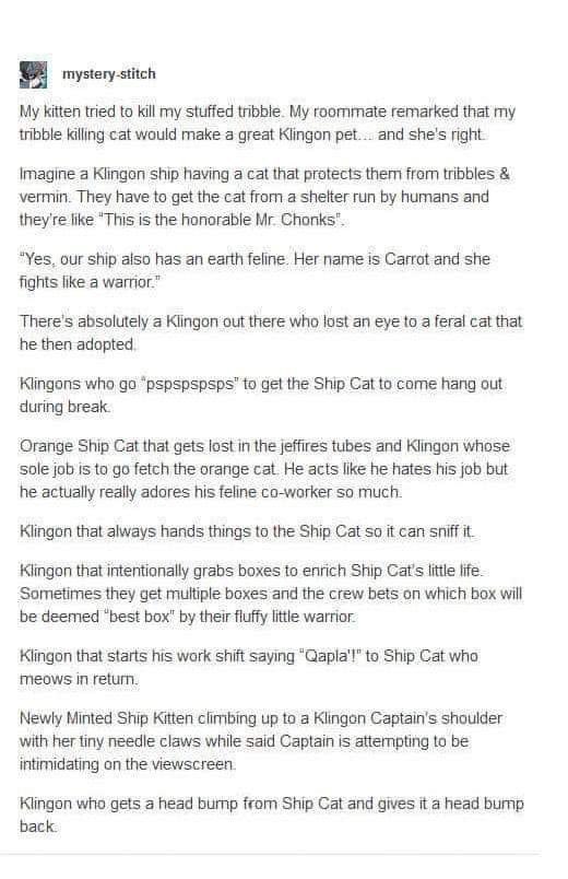 N.J. Gallegos is Dr. Spooky 👻💉💊 tweet media